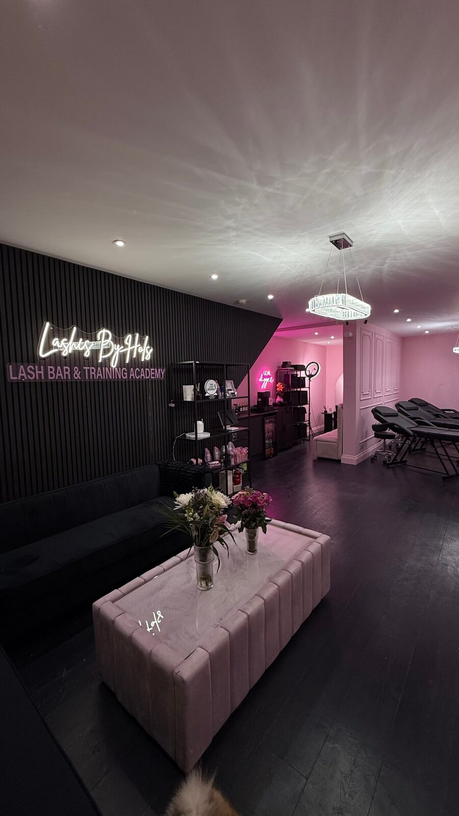 Inside the Lashes By Hols salon